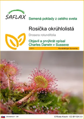 Obrázok produktu pre SAFLAX - Rosička okrúhlolistá - Drosera rotundifolia - 50 Semená