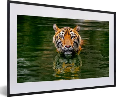 Produktbild von MuchoWow® MuchoWow® Gerahmtes Poster Tiger im Wasser 60x40 cm - Poster mit zchwarzem Bilderrahmen - Schlafzimmer - Plakat in Rahmen - Drucken