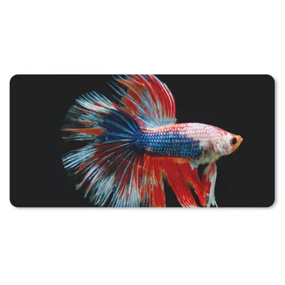 Produktbild von MuchoWow® Mauspad Mousepad Fisch - Meerestier - Schwanz - Blau 60x30 cm - Mousepads - Maus Mat - Pad - Mausunterlage - Nachhaltig