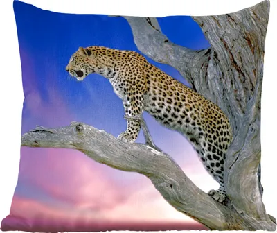 Produktbild von MuchoWow® Zierkissen Sofakissen Wohnzimmer Dekokissen 60x60 cm Leopard - Baum - Zweig - Sitzfläche - Foto Polster