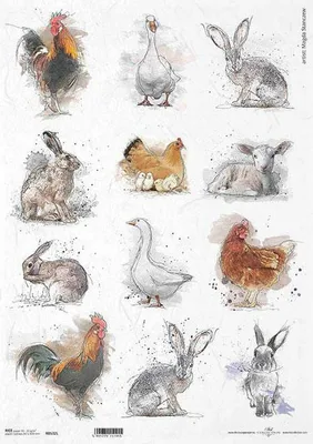 Image de Papier de riz pour découpage A3 ITD-R532L Coq, poule, lapin, Pâques