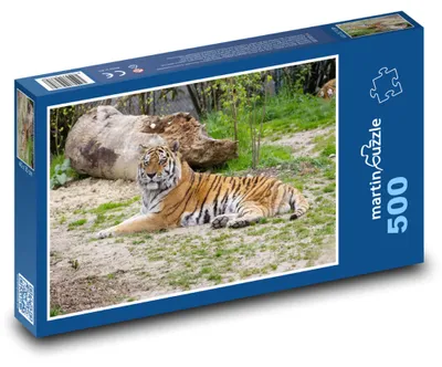 Obrázek produktu pro Puzzle 500 Tygr ussurijský v přírodě - martinpuzzle