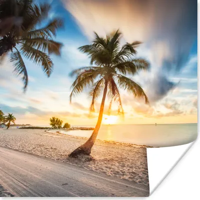 Produktbild von MuchoWow® Poster Sonnenuntergang - Strand - Palme 75x75 cm - Wand Dekoration