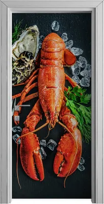 Produktbild von Tür Selbstklebende 90x210 cm Türfolie Türtapete Klebefolie - Meeresfrüchte Platte