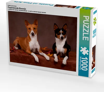 Produktbild von CALVENDO Puzzle Ein Motiv aus dem Kalender Faszinierende Basenjis | 1000 Teile Lege-Größe 64x48cm Foto-Puzzle für glückliche Stunden
