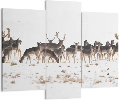 Produktbild von Bild auf Leinwand - Leinwandbild - Hirsch Winter Tierwelt Landschaft - 130x100cm - Wand Bild - Wanddeko - Leinwanddruck - Bilder - Kunstdruck - Leinwand bilder - Wandkunst - CB130x100-3144