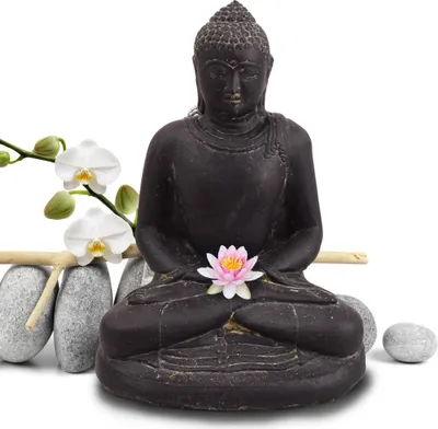 Produktbild von Stonox Buddha Figur Dharwad mit Dhyana Geste Steinguss 20x24x30 cm