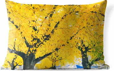 Produktbild von MuchoWow® Outdoor Kissen - Baum im Herbst - 50x30 cm - Wetterfest - Lounge Kissen - Sofa kissen - Wohnzimmer Dekoration