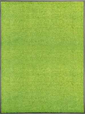 Obrázek produktu pro The Living Store Rohožka omyvatelná zelená 90x120 cm
