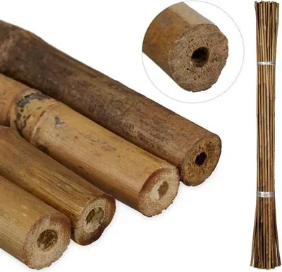 Image de Bâtons de bambou 105 cm en lot de 40