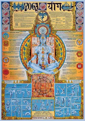 Produktbild von Educational - Bildung Yoga Poster - Grösse 68x98 cm