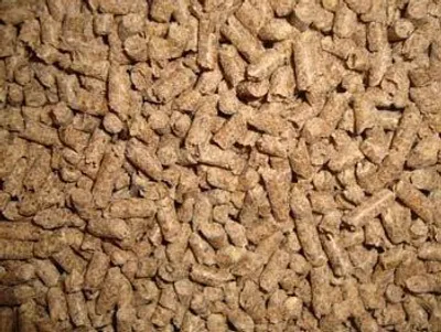 Productafbeelding van Paardenbrok Basis 20KG