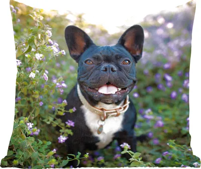 Produktbild von MuchoWow® Zierkissen Sofakissen Wohnzimmer Dekokissen 45x45 cm Französische Bulldogge - Blumen - Lila - Schlafpolster - Polster für das Sofa