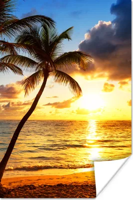 Produktbild von MuchoWow® Poster Strand - Horizont - Sonnenuntergang - Palme - Meer 20x30 cm - Papierdruck