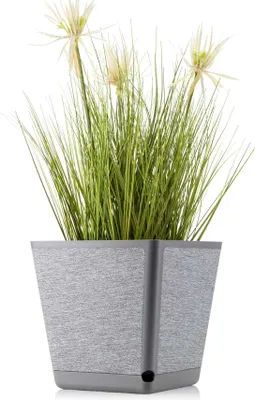 Produktbild von HowHomely | Pflanzkübel - Pilea Texelle - 24x24 cm - Grau - Modernes Design - Mit Feuchtigkeitsmesser und Untersetzer