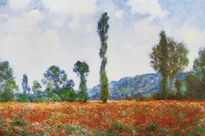 Produktbild von Claude Monet Kunstdruck Bild - Mohnblumenfeld In Giverny, 1890 (80 x 120 cm)