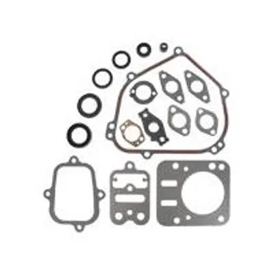 Image de Jeu de joints pour moteurs OHV séries 110402, 110412, 110415, 110417, 110432, 110437, 110452, 110492 et 126402 – Origine :
