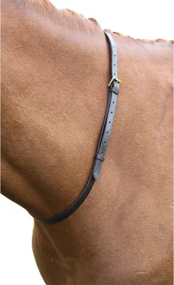 Produktbild von Blenheim - Pferde Halsriemen, Leder ER188 (152 cm x 18 mm) (Braun)