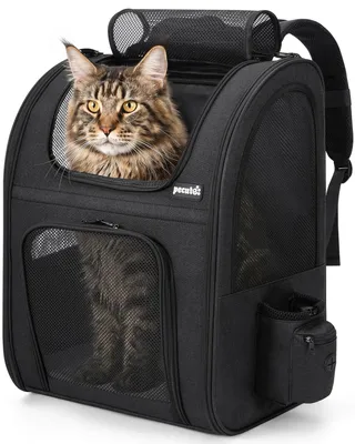 Productafbeelding van XL Huisdierrugzak voor Honden en Katten met Opbergzakken