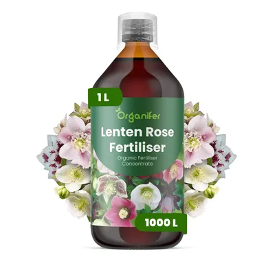 Produktbild von Weihnachtsrose Flüssigdünger 1L – 3-4-3 NPK – Flüssig-Pflanzendünger für Weihnachtsrosen – Organifer