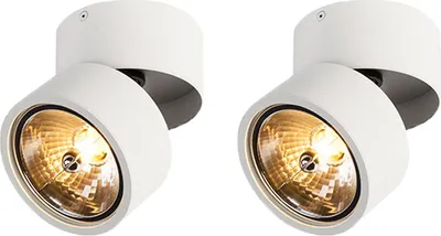 Produktbild von QAZQA - Industrie I Vintage I Set mit 2 modernen Scheinwerfern weiß verstellbar - Go Nine Tubo I Wohnzimmer I Schlafzimmer - Stahl Rund - LED geeignet G9