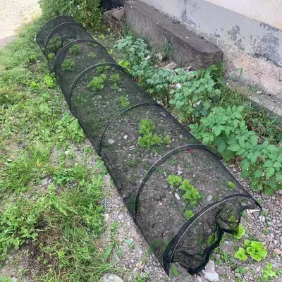 Obrázok produktu pre Siete na ochranu rastlín, siete na pestovanie, univerzálne záhradné siete, tienidlá, záhradné krycie siete