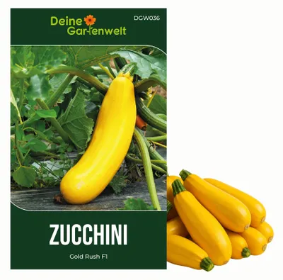Produktbild von Zucchini Gold Rush F1 Samen - Cucurbita pepo - Zucchinisamen - Gemüsesamen - Saatgut für 7 Pflanzen