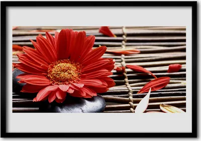 Produktbild von Bild 100x70 MDF-Rahmen Wandkunst Natur Blume Pflanze