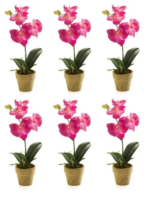 Produktbild von 6er Set künstliche Mini Orchidee im Topf pink H. 25cm Emerald Zimmerpflanze