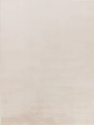 Produktbild von TT Home Wohnzimmer Teppich Hochflor Langflor Kunstfell Weich Modern Unifarben Flauschig Größe 200x280 cm