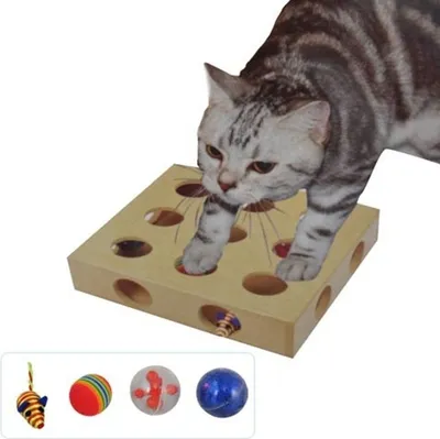 Image de Jouets d'occupation pour chats Jouets pour chats Planche à chats Coffret de jeu