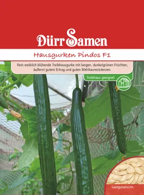 Artikelbild 1 von 'Treibgurke Pindos F1' aus der Kategorie Gurkensamen