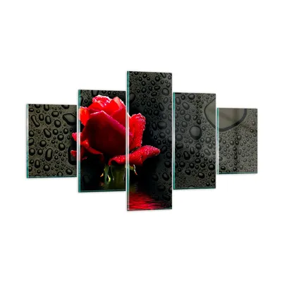 Produktbild von Bilder auf glas - Blume rote rose wasser tau - 125x70cm - Glasbilder - Wandbilder - Kunstdruck - zum Aufhängen bereit - Wanddekoration aus Glas - Glas Bilder - Wandbild auf Glas - GEA125x70-2367