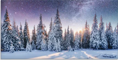 Produktbild von ARTland Glasbild Tannenwald im Schnee vorm Sternenhimmel Größe: 60x30 cm