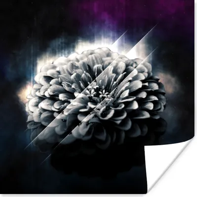 Produktbild von MuchoWow® Poster Blumen - Licht - Rauch 75x75 cm - Wand Dekoration