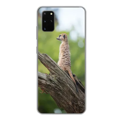 Produktbild von MuchoWow® Handyhülle Schutzhülle Hülle für Samsung Galaxy S20 Plus Erdmännchen - Ast - Baum Silikon Softcase Handy Hülle - Hartschale