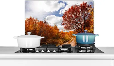 Produktbild von KitchenYeah®  Spritzschutz Küche - Küchenrückwand - Wandschutz für Herd und Spüle - Baum - Weg - Herbst 70x50 - Alu-Dibond (Alternative zum Spritzschutz aus Glas) - Hitzebeständig - Herdspritzschutz -
