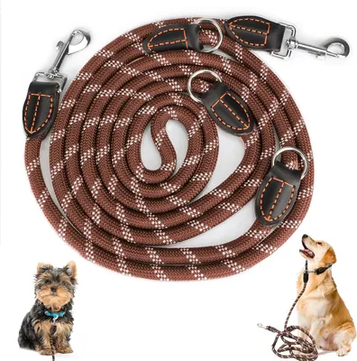 Produktbild von Hundeleine für große und mittelgroße Hunde - Verstellbare Doppelleine aus Nylon mit 2 Karabinerhaken und 3 Ringen - 3m x 15mm - Braun