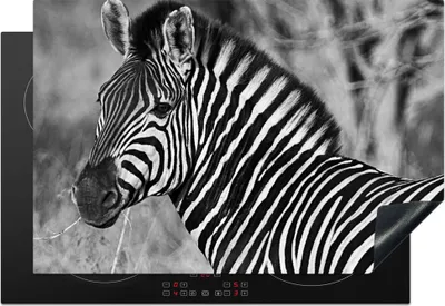 Obrázek produktu pro KitchenYeah® Krycí deska na sporák zebra portrét, 76x51cm, dekorace do kuchyně, keramická krycí deska na sporák, krycí deska na varnou desku