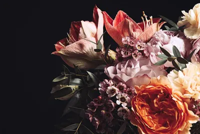 Immagine prodotto di A.S. Création, carta da parati decorativa "Bouquet", dimensioni 3,75 m x 2,50 m - WALLLOVE, carta da parati con motivo floreale