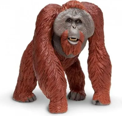 Produktbild von wildtiere Orang-Utans 12,7 cm rot/braun