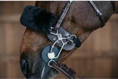 Produktbild von Dyon Hackamore Schutz