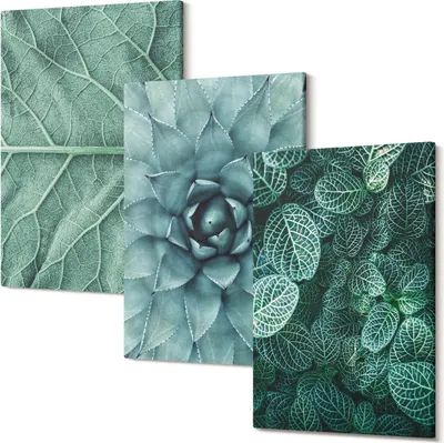 Produktbild von Leinwandbilder – Wandbilder – Leinwandbild – Canvas Bild – Polycanvas – Kunstdruck – – Modern – Aufhängefertig – Mehrteilig – 3-Teilig – 40x60 Cm Pro Bild - Nahaufnahmen von Sukkulenten und Blättern