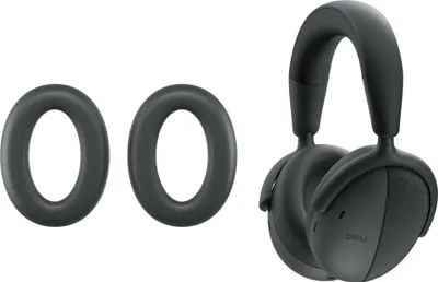Image de Dell HE724 - Ohrpolster für Headset - Magnetite (Packung mit 2) (HE724-DWW)