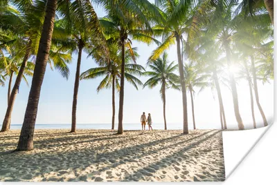Produktbild von MuchoWow® Poster Strand - Meer - Palme - Romantik 120x80 cm - Bilder