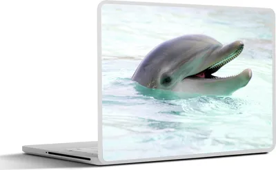 Produktbild von MuchoWow® Laptop Aufkleber Sticker Cover Delfin - Wasser - Meer 31x22.5 cm - Laptop-Deko