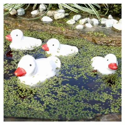 Produktbild von Keramische Entenfamilie - Schwimmende Dekoration für Teich und Garten - Weiße Tierfiguren für Miniteiche und Balkonteiche