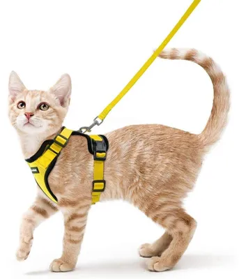 Produktbild von Katzengeschirr mit Leine, ausbruchsicher, verstellbar, Gelb, XS