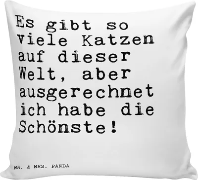 Produktbild von Mr. & Mrs. Panda Deko Kissen Es gibt so viele... - Weiß - Geschenk, Katzen, kuschelkissen 40x40, Spruch Sprüche Weisheiten Zitate Lustig Weisheit Worte, Polster, Katze