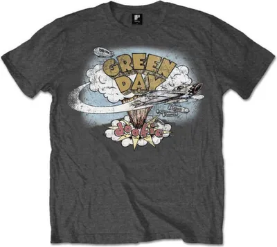 Produktbild von Green Day T-Shirt Dookie Vintage Uni Grey 2XL